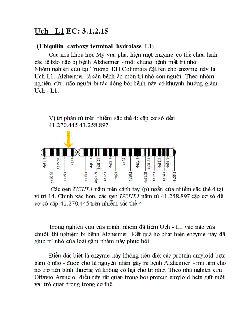 image for page Ứng Dụng Của Enzyme Trong Điều Trị Bệnh