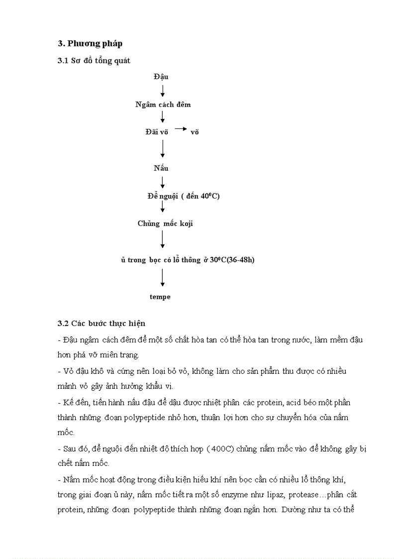 image for page Bài phúc trình thực tập công nghệ lên men thực phẩm