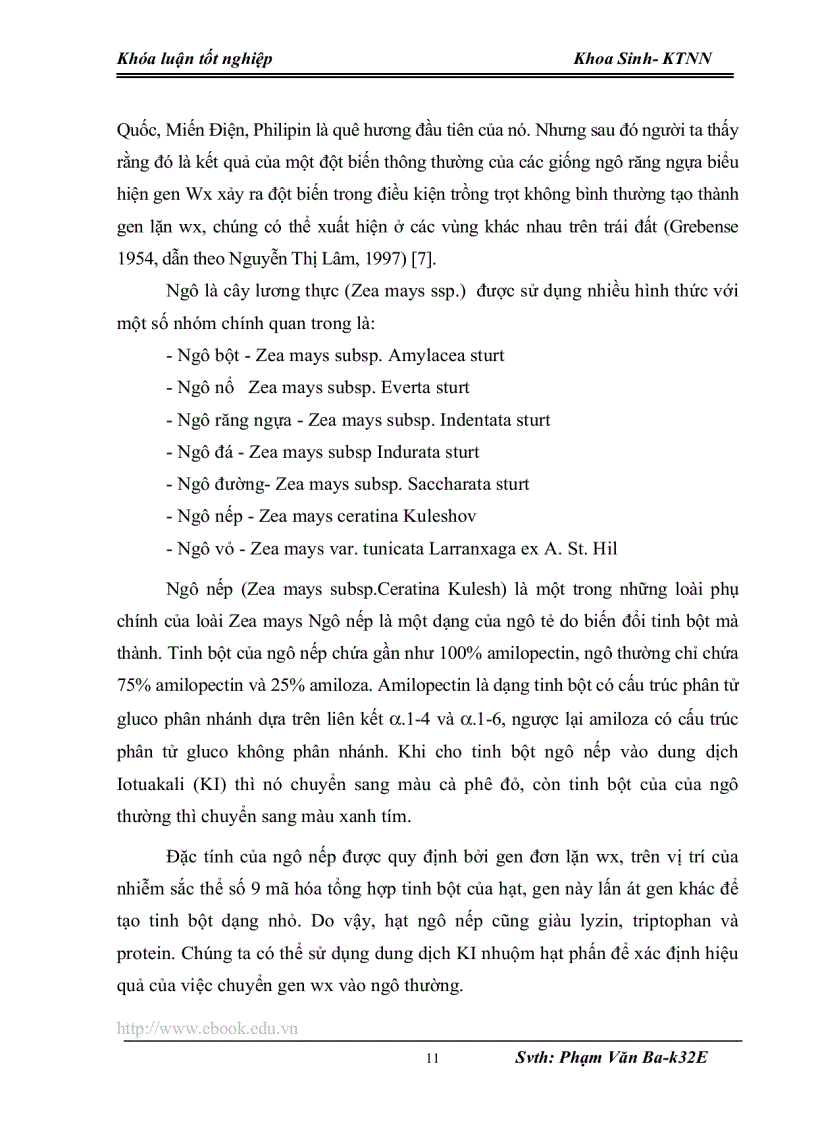 image for page Bước đầu nghiên cứu ảnh hưởng của mức độ phân bón đến sự sinh trưởng và năn suất của một số giống ngô nếp lai