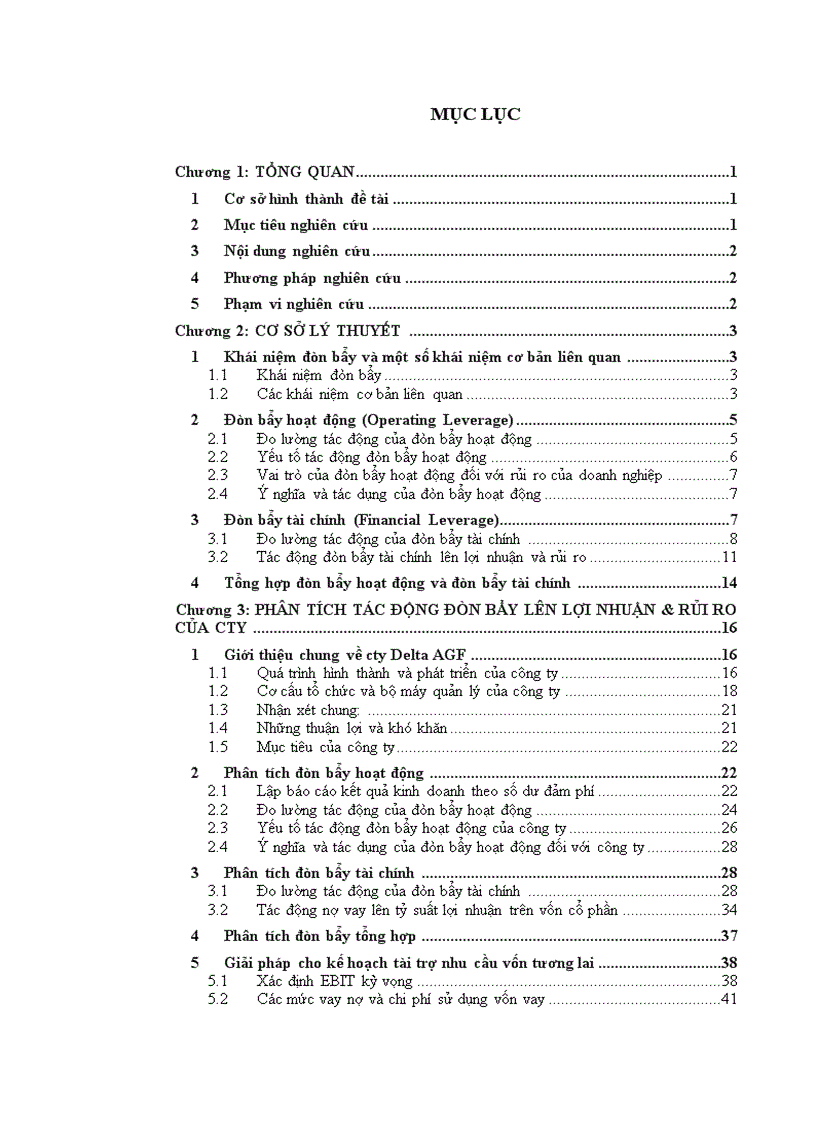 Phân tích tác động đòn bẩy lên lợi nhuận và rủi ro của công ty cổ phần đầu tư và xây dựng delta agf