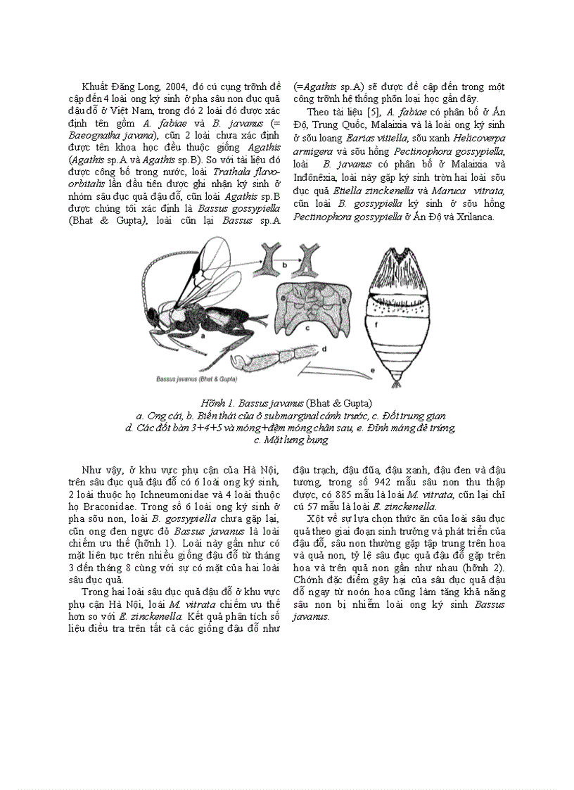 Sự xuất hiện và hoạt động của ong ký sinh Bassus javanus Bhat Gupta Braconidae Trên sâu đục quả đậu đỗ Maruca vitrata Fabricius ở khu vực phụ cận Hà Nội