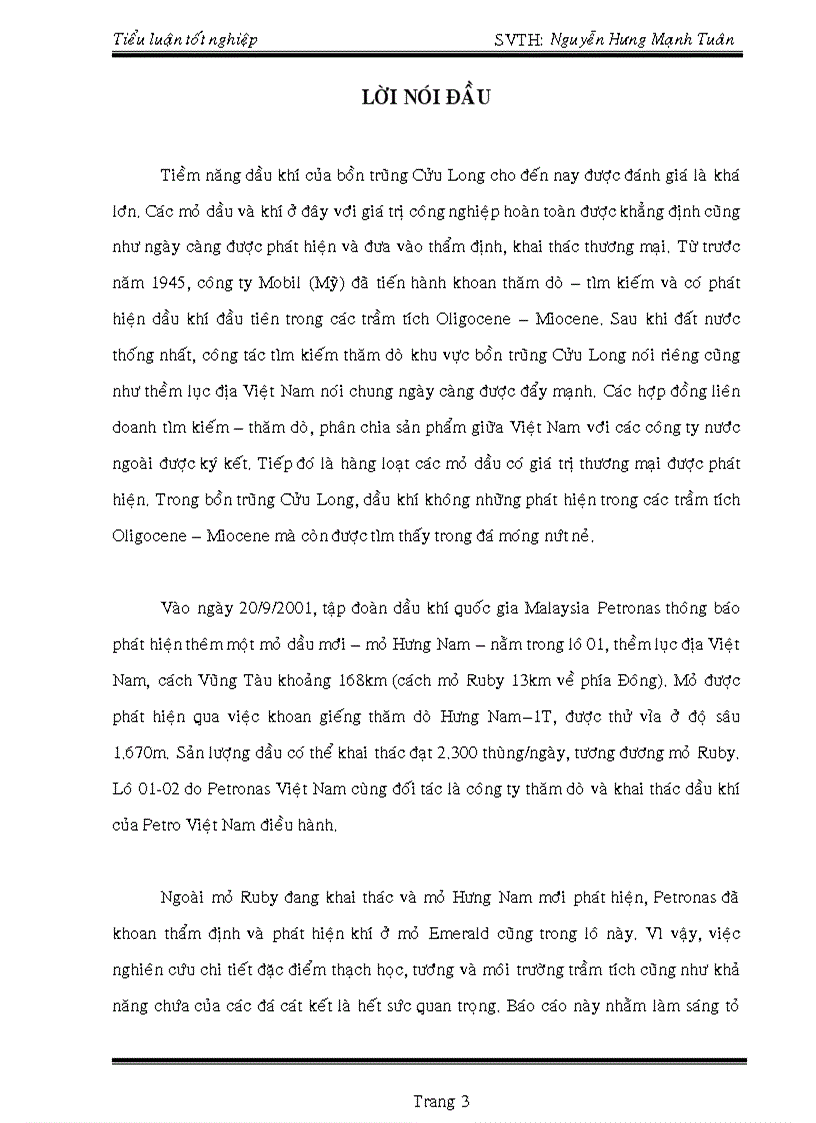 image for page Minh giải tướng môi trường trầm tích và khả năng chứa của cát kết mỏ hưng nam lô 01 bồn trũng cửu long qua mô tả và phân tích mẫu lõi 11 30 m của giếng khoan hn 3t