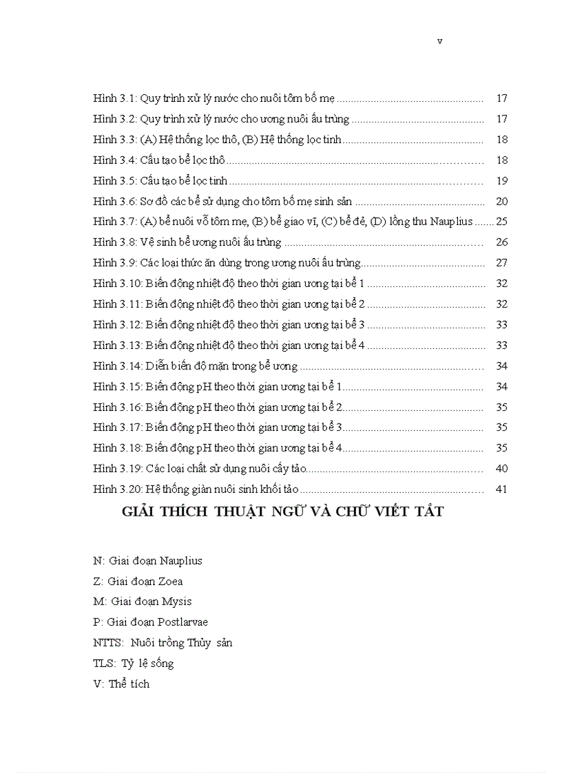 image for page Tìm hiểu quy trình sản xuất giống tôm he chân trắng Penaeus vannamei Boone 193