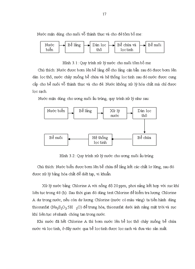 image for page Tìm hiểu quy trình sản xuất giống tôm he chân trắng Penaeus vannamei Boone 193