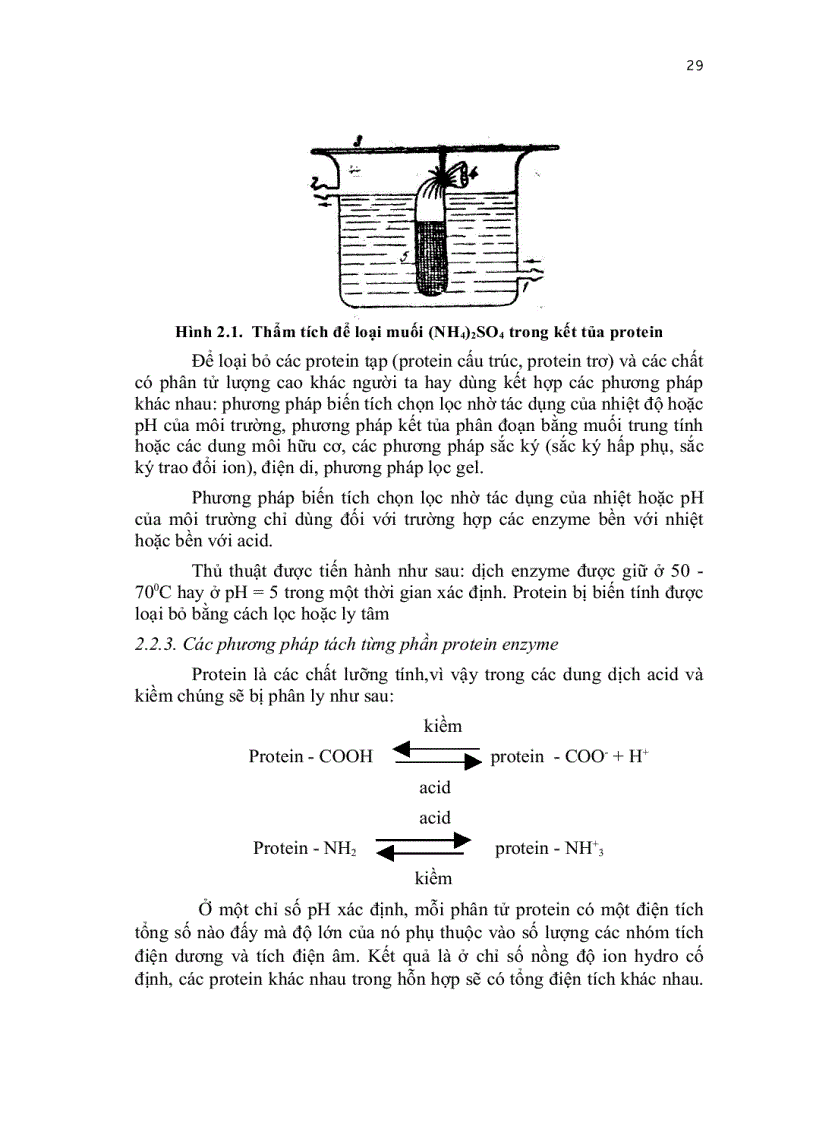 image for page Công nghệ và ứng dụng enzym