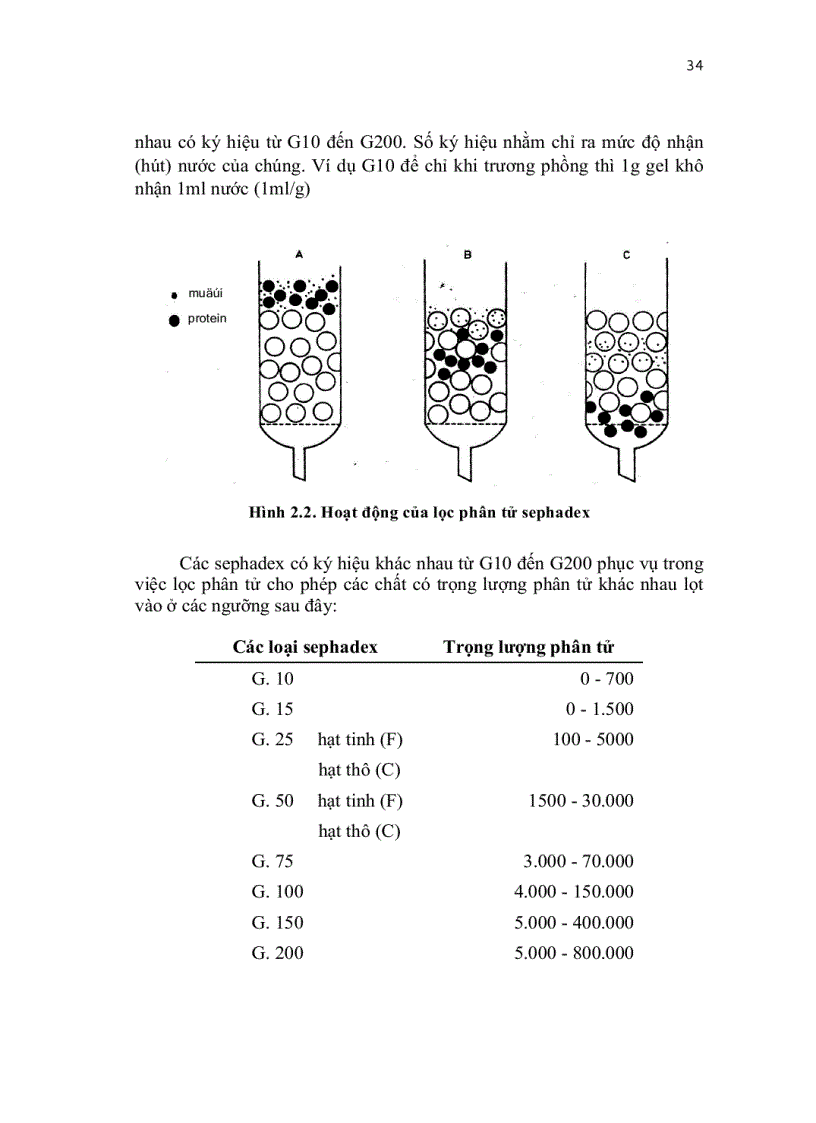 image for page Công nghệ và ứng dụng enzym