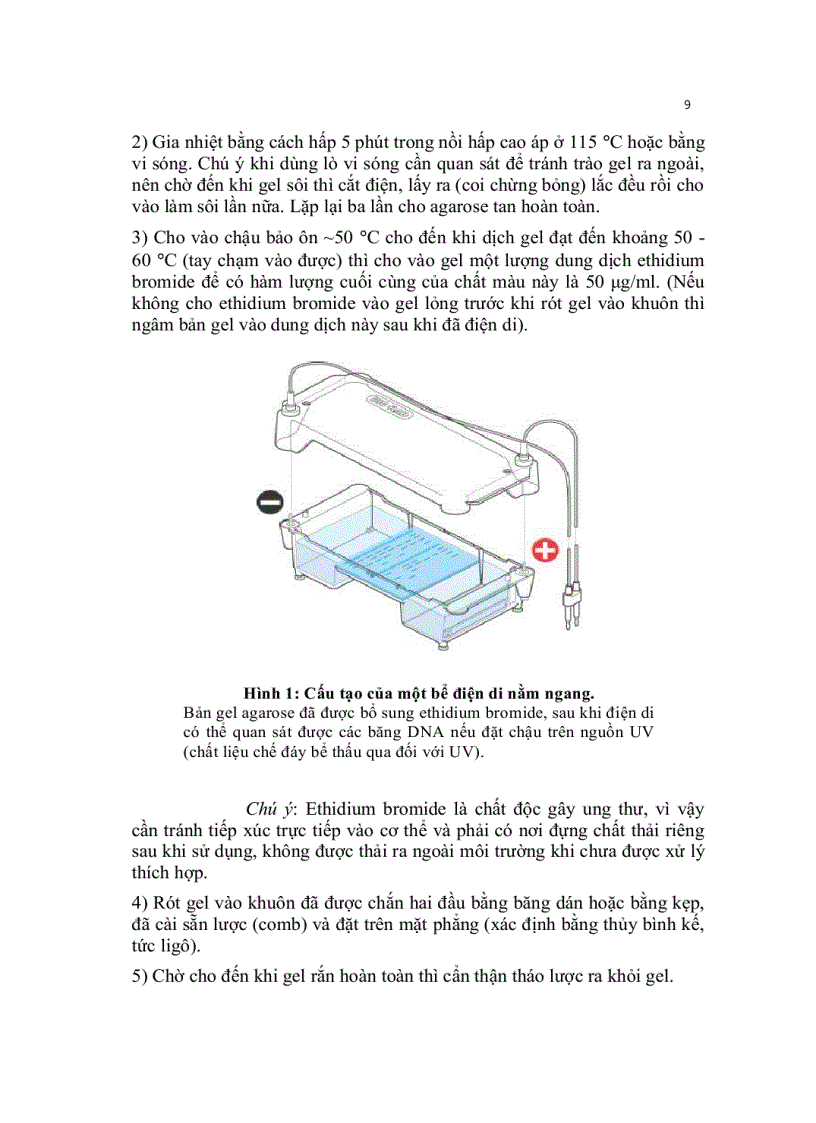 image for page Kỹ thuật cơ bản trong sinh học phân tử