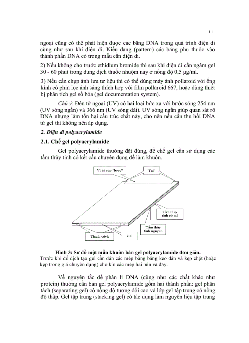 image for page Kỹ thuật cơ bản trong sinh học phân tử
