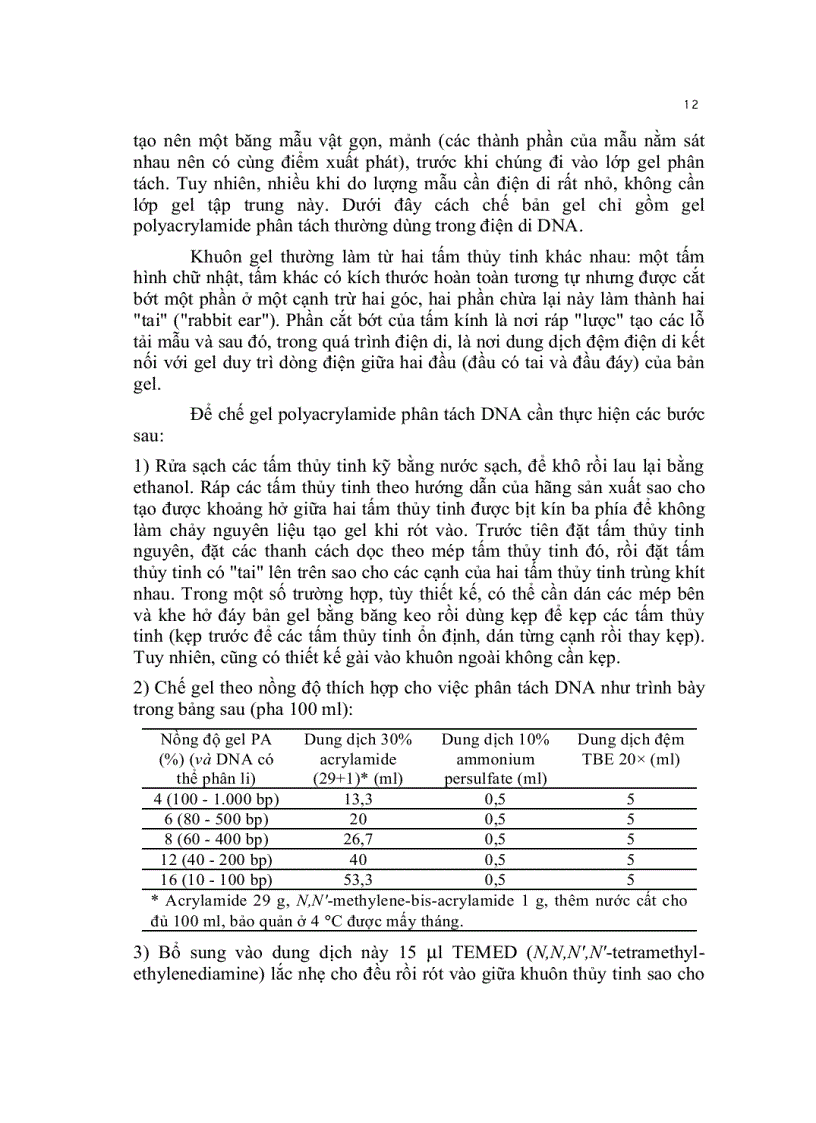 image for page Kỹ thuật cơ bản trong sinh học phân tử