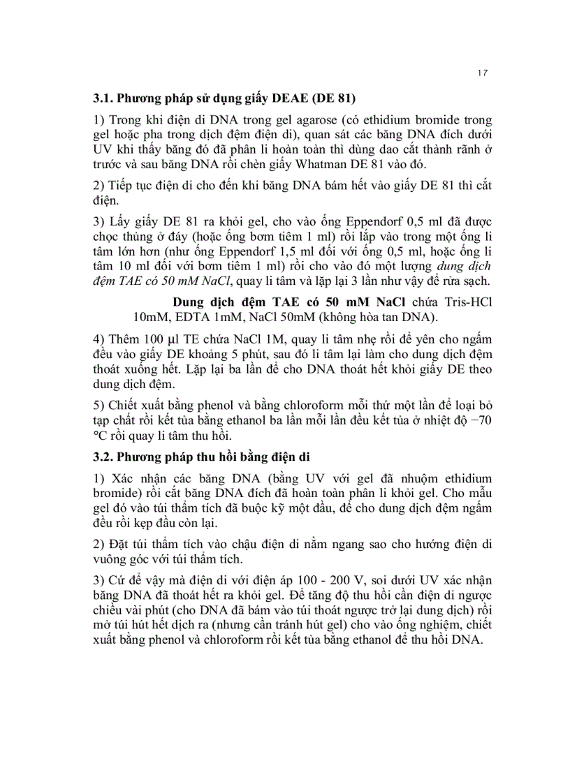 image for page Kỹ thuật cơ bản trong sinh học phân tử