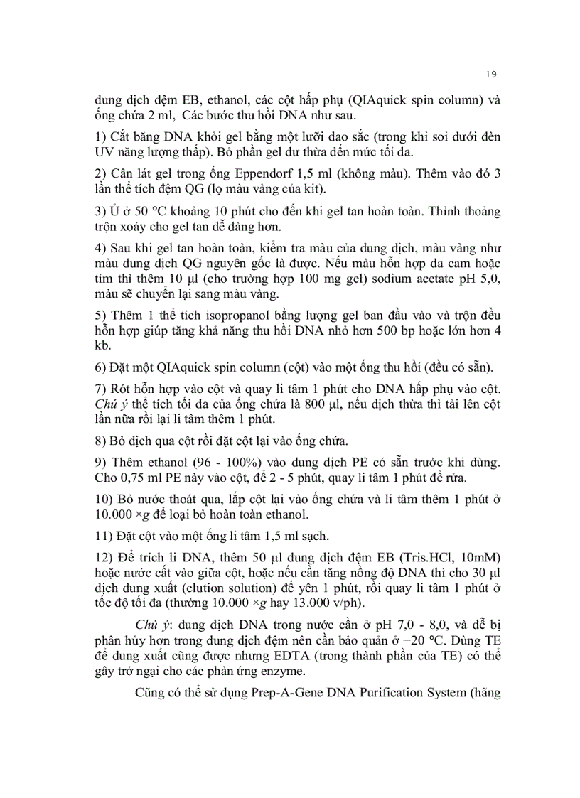 image for page Kỹ thuật cơ bản trong sinh học phân tử