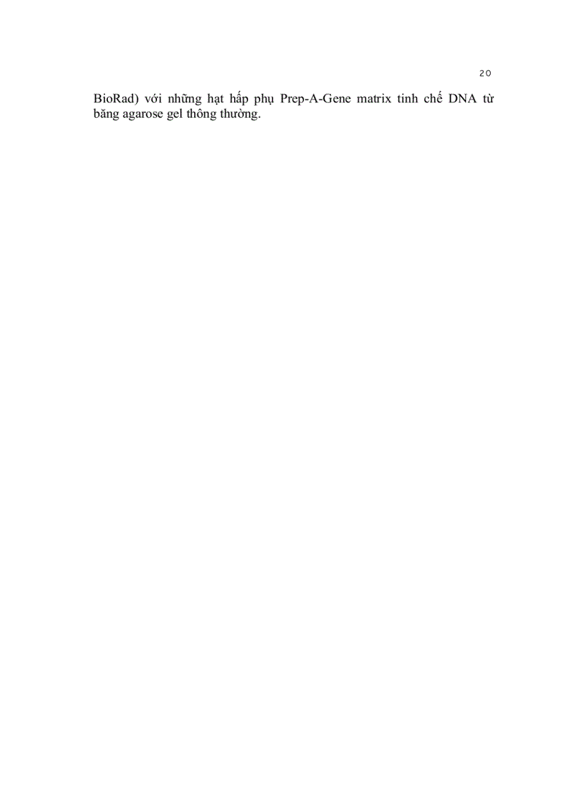 image for page Kỹ thuật cơ bản trong sinh học phân tử