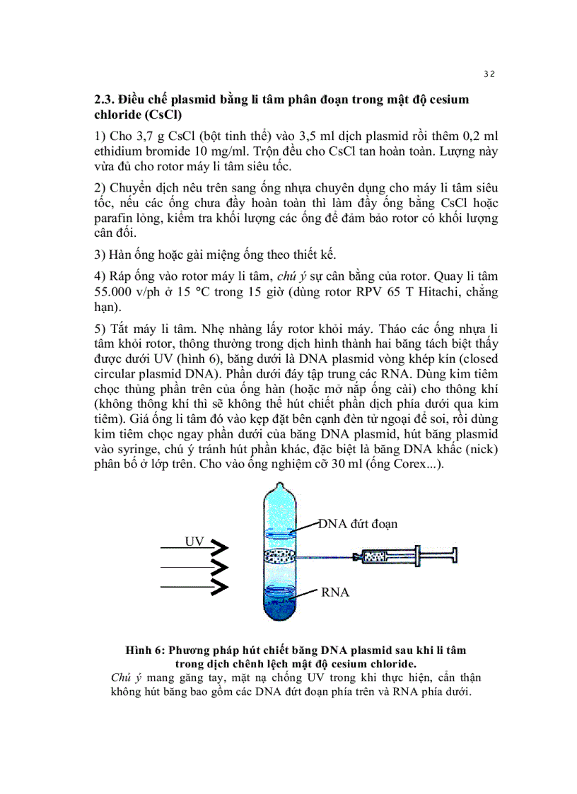 image for page Kỹ thuật cơ bản trong sinh học phân tử