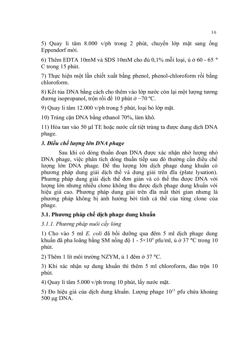 image for page Kỹ thuật cơ bản trong sinh học phân tử