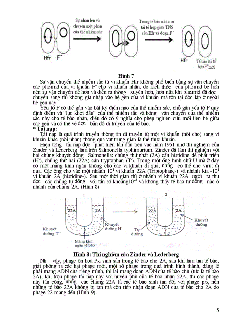 image for page Quá trình biến nạp tải nạp và tiếp hợp ở vi khuẩn