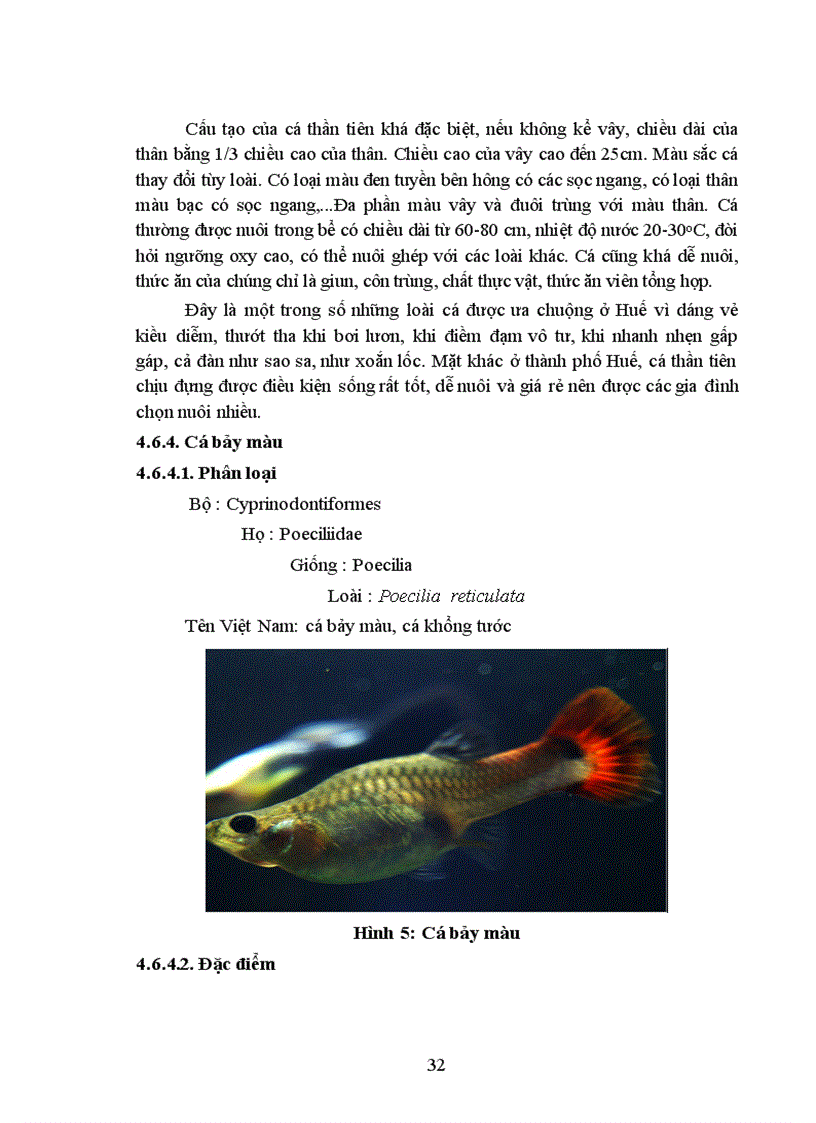 image for page Điều tra tình hình nuôi và chơi cá cảnh trên địa bàn Thành phố Huế