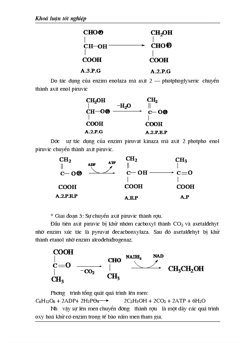 image for page Luận văn tốt nghiệp nghiên cứu ảnh hưởng nồng độ đường đến sự sinh trưởng và phát tricuaruar nấm men Sacharomyces cerevisiae