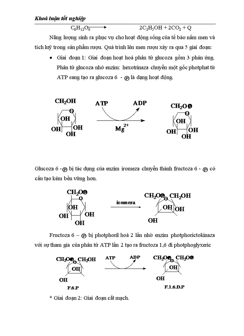 image for page Nghiên cứu ảnh hưởng của hàm lượng đường và NaCl trong qúa trình lên men vang vải thiều Litchi chinensis sonn