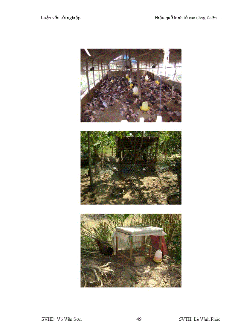 image for page Hiệu quả kinh tế của các công đoạn chăn nuôi giết mổ và phân phối sản phẩm thịt gà tại thành phố Cần Thơ