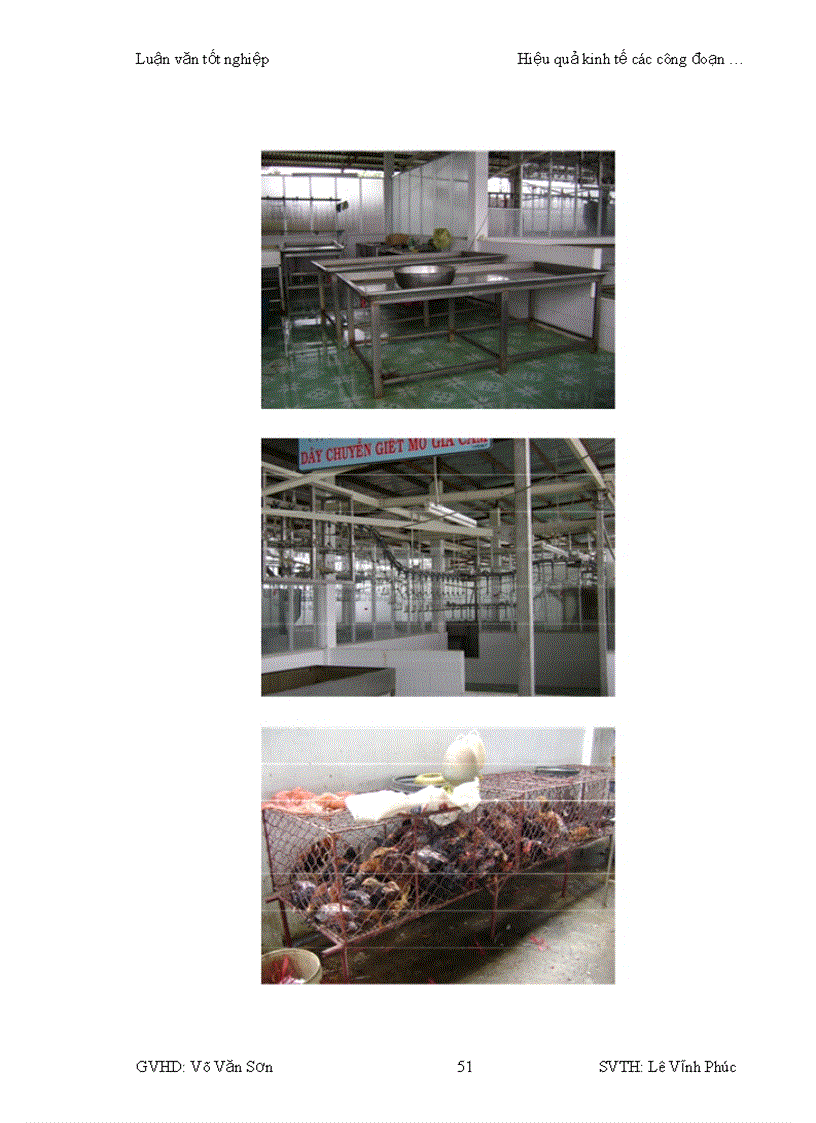 image for page Hiệu quả kinh tế của các công đoạn chăn nuôi giết mổ và phân phối sản phẩm thịt gà tại thành phố Cần Thơ