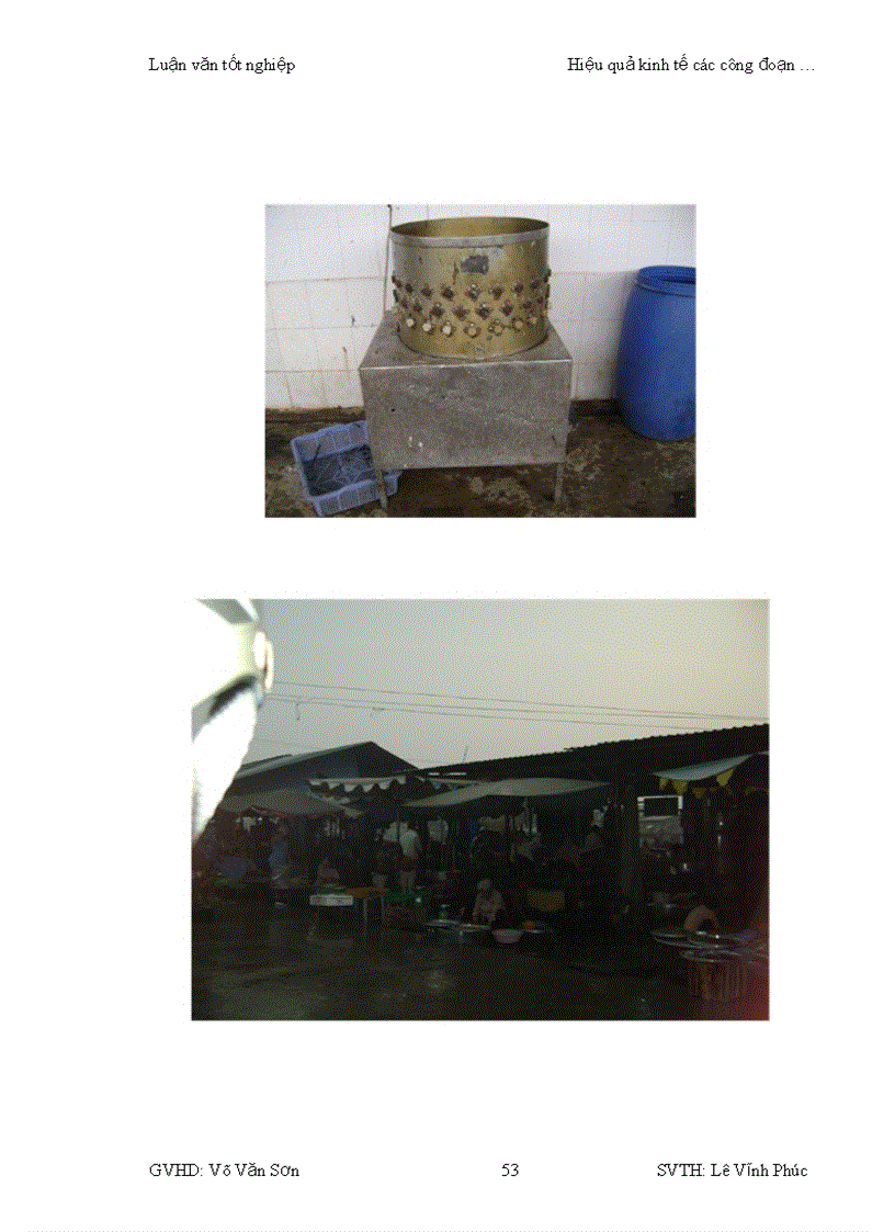 image for page Hiệu quả kinh tế của các công đoạn chăn nuôi giết mổ và phân phối sản phẩm thịt gà tại thành phố Cần Thơ