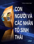 Tiểu luận sinh thái học