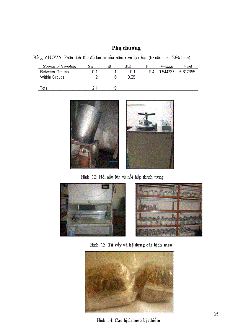 image for page Quy trình sản xuất meo nấm rơm lụa bạc
