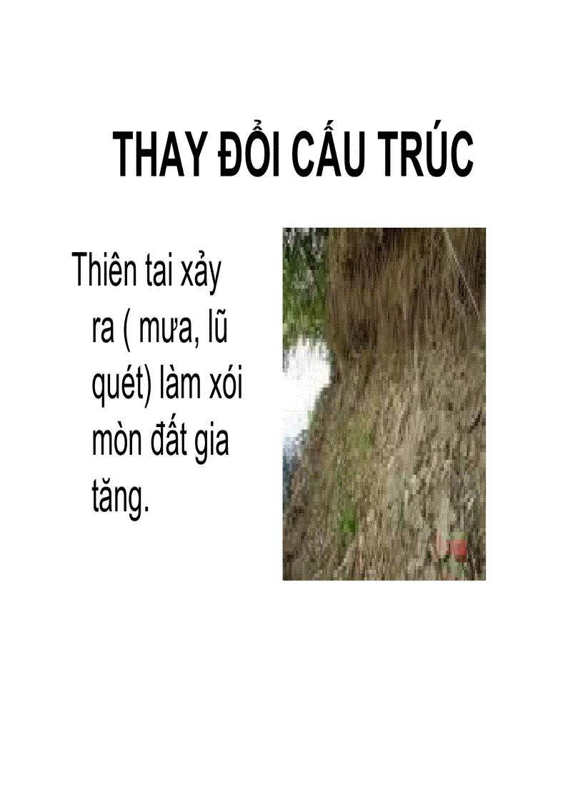 image for page Đánh giá ảnh hưởng của việc phá rừng đối với đất đai