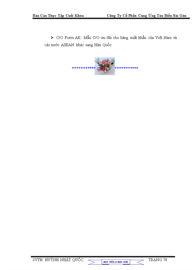 image for page Giao nhận hàng hóa xuất nhập khẩu và những giải pháp phát triển hoạt động giao nhận hàng hóa quốc tế bằng đường biển tại công ty Cổ Phần Cung Ứng Tàu Biển Sài Gòn