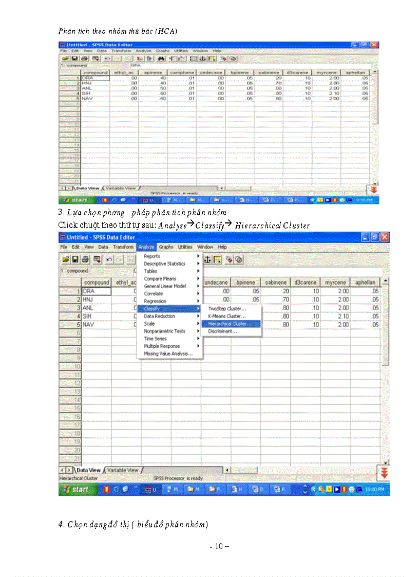 image for page Tiểu luận môn học xử lý số liệu Phân tích theo nhóm thức bậc HCA cách tiến hành và làm ví dụ ứng dụng
