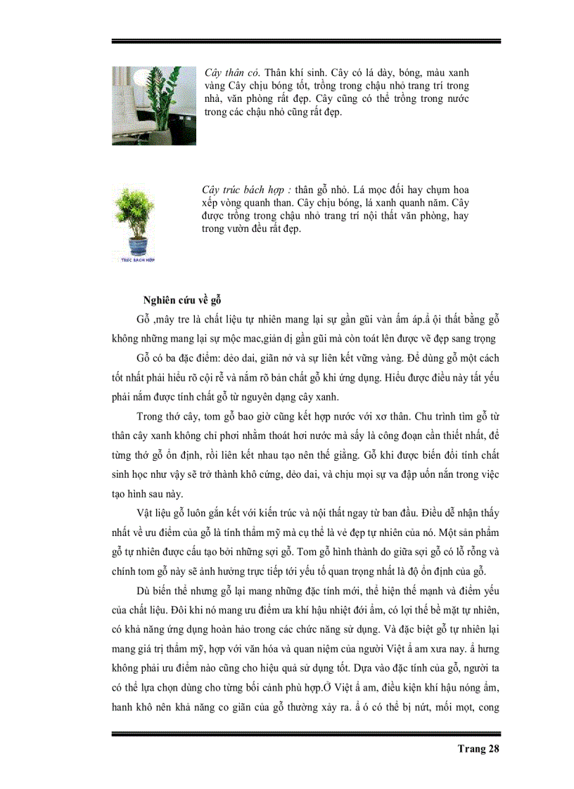 image for page Thiết kế trang trí nội thất nhà ở