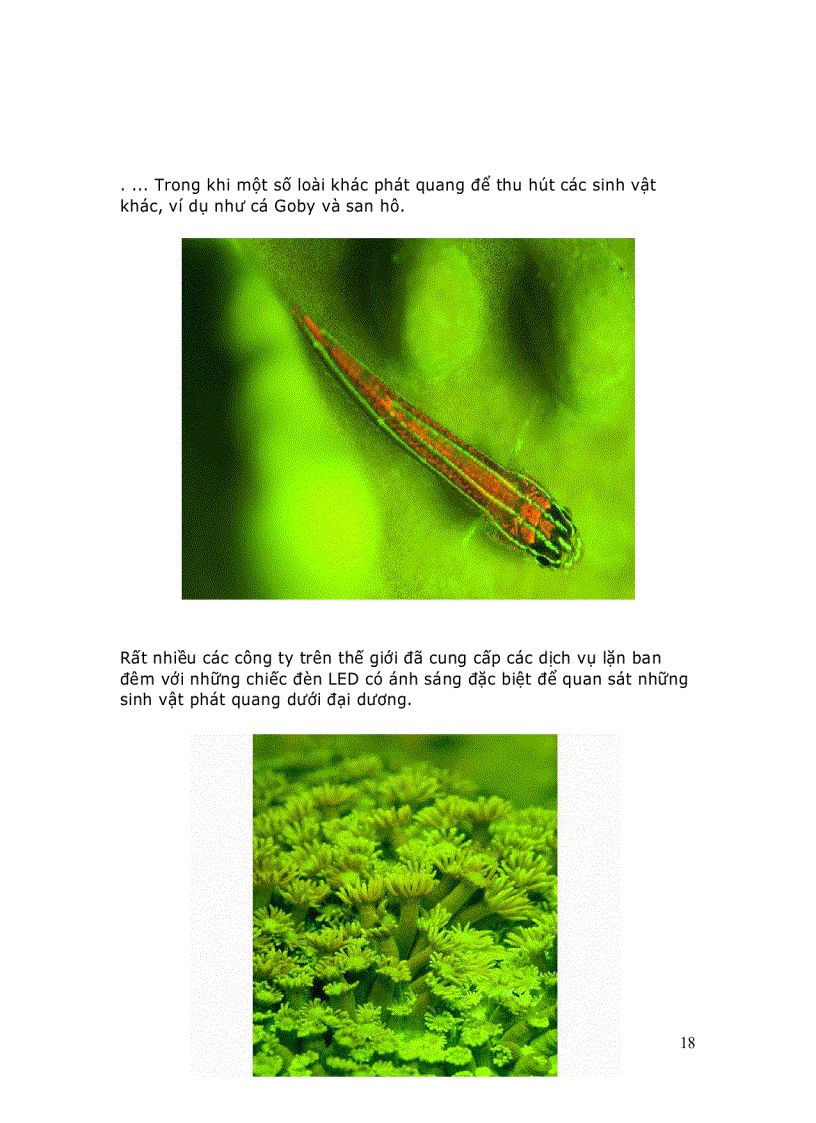 image for page Biệt thự hoa Biển Luận văn trang trí nội thất