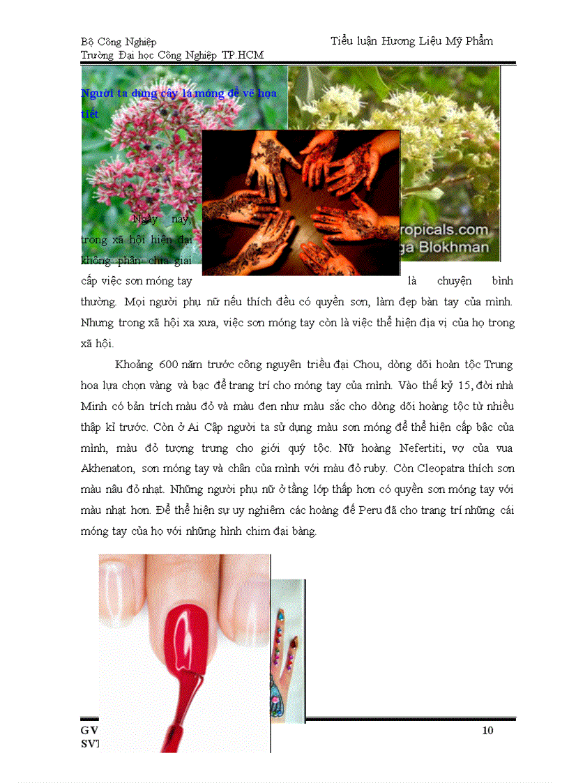 image for page Điều Chế Sơn Móng Tay