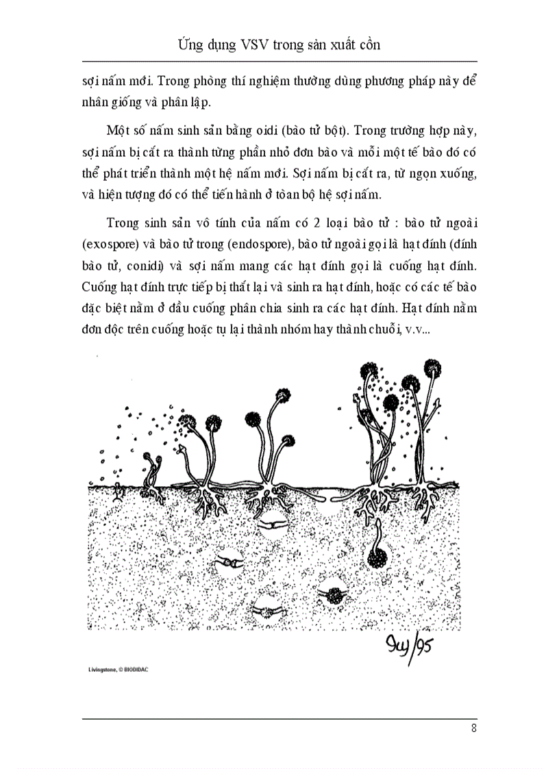 image for page Ứng dụng vi sinh vật trong sản xuất cồn