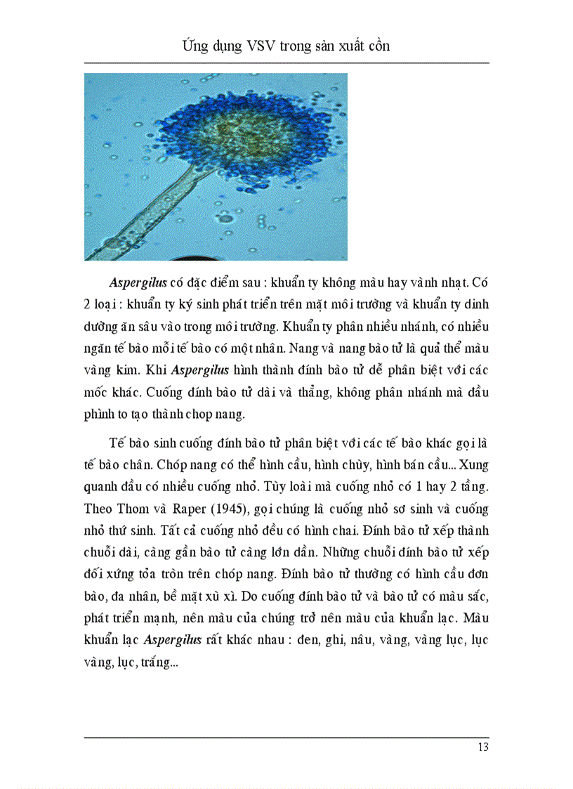 image for page Ứng dụng vi sinh vật trong sản xuất cồn