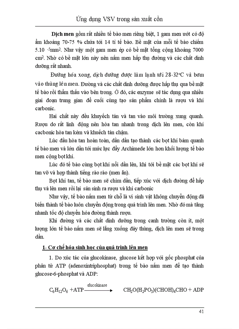 image for page Ứng dụng vi sinh vật trong sản xuất cồn