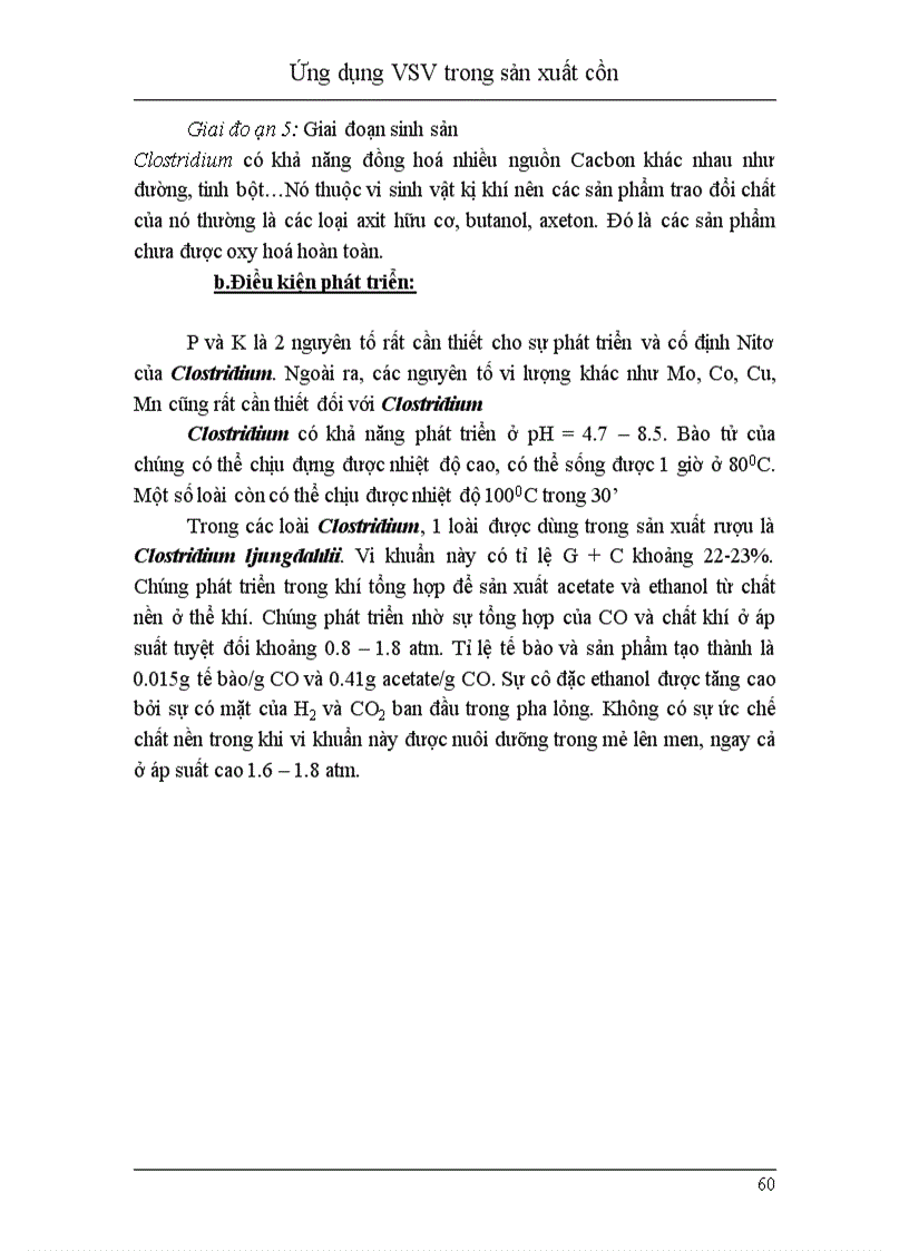 image for page Ứng dụng vi sinh vật trong sản xuất cồn