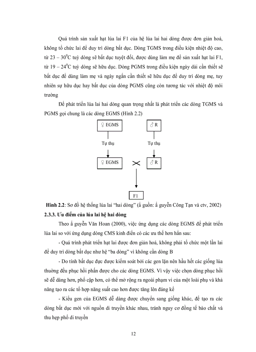 image for page Khảo nghiệm 12 tổ hợp lúa lai và bước đầu nghiên cứu công nghệ sản xuất hạt giống lúa lai f1 hệ ba dòng thích hợp điều kiện tây nguyên