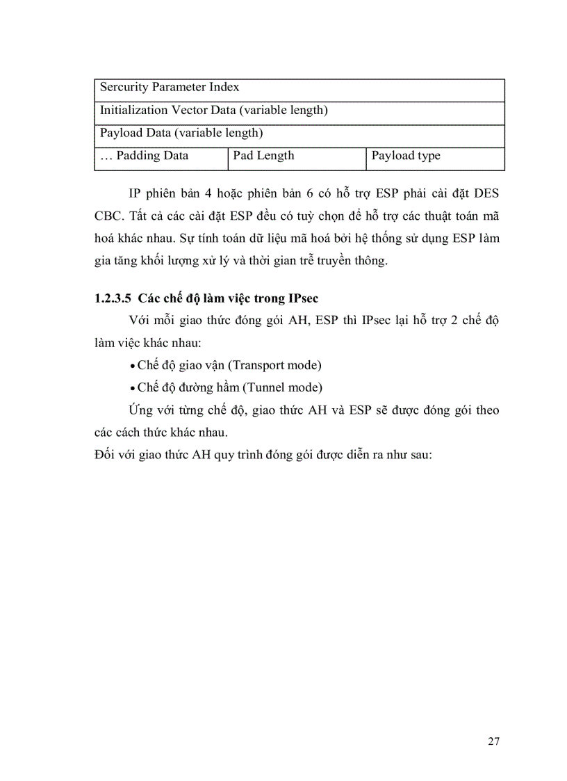 image for page Mạng riêng ảo và giao thức IPSec