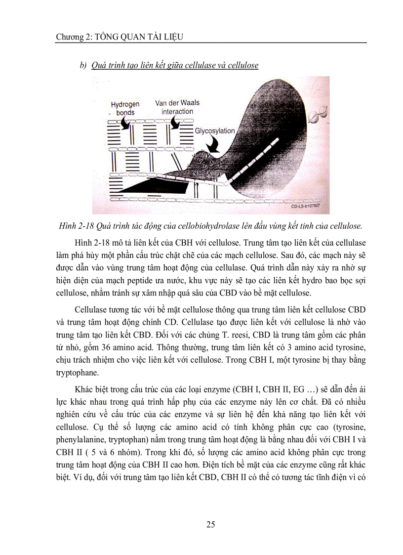 image for page Nghiên cứu sản xuất Ethanol từ rơm rạ