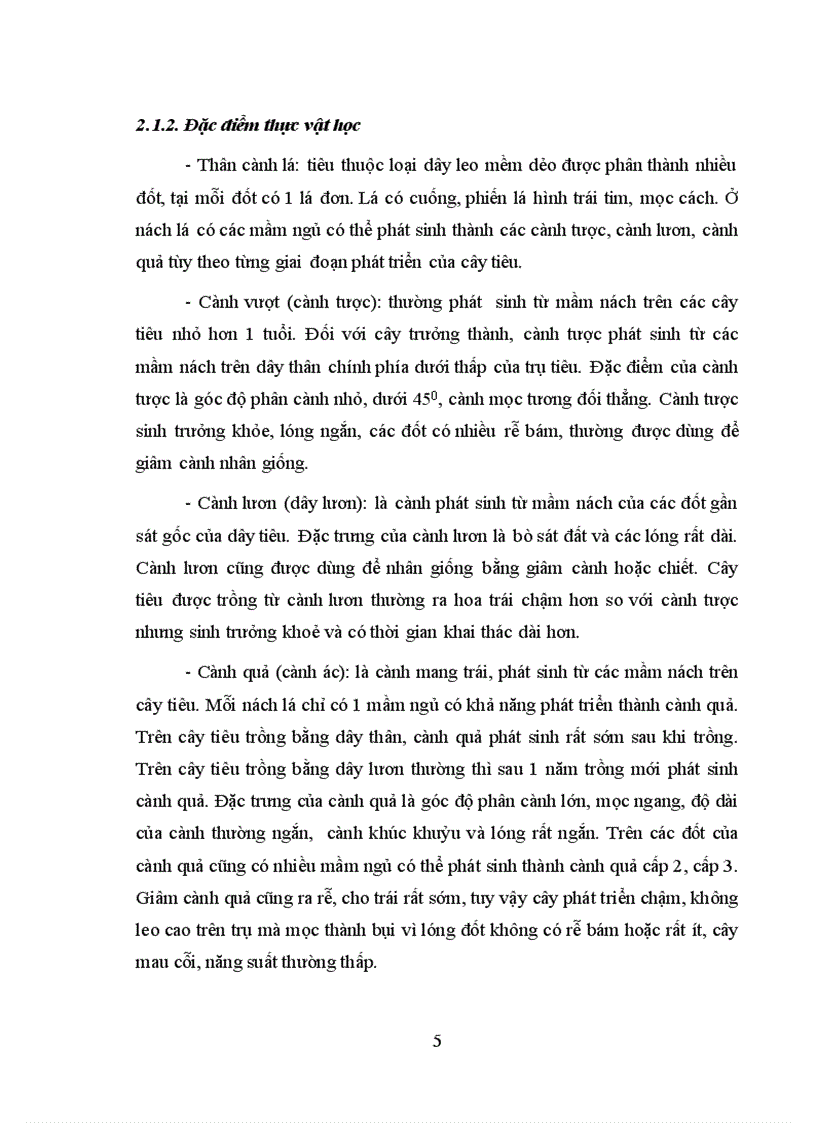 image for page Luận văn thạc sỹ Nghiên cứu liều lượng bón phân P và K cho cây hồ tiêu ở DakLak