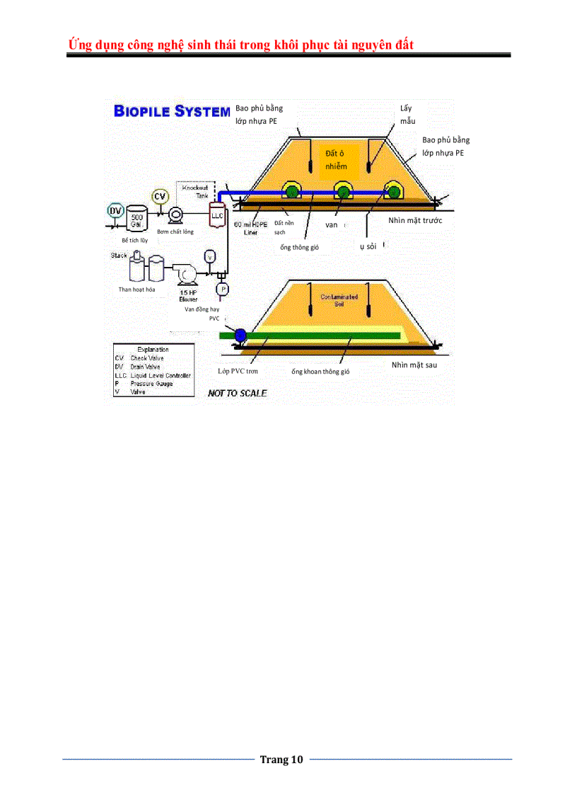 image for page Ứng dụng công nghệ sinh thái trong khôi phục tài nguyên đất
