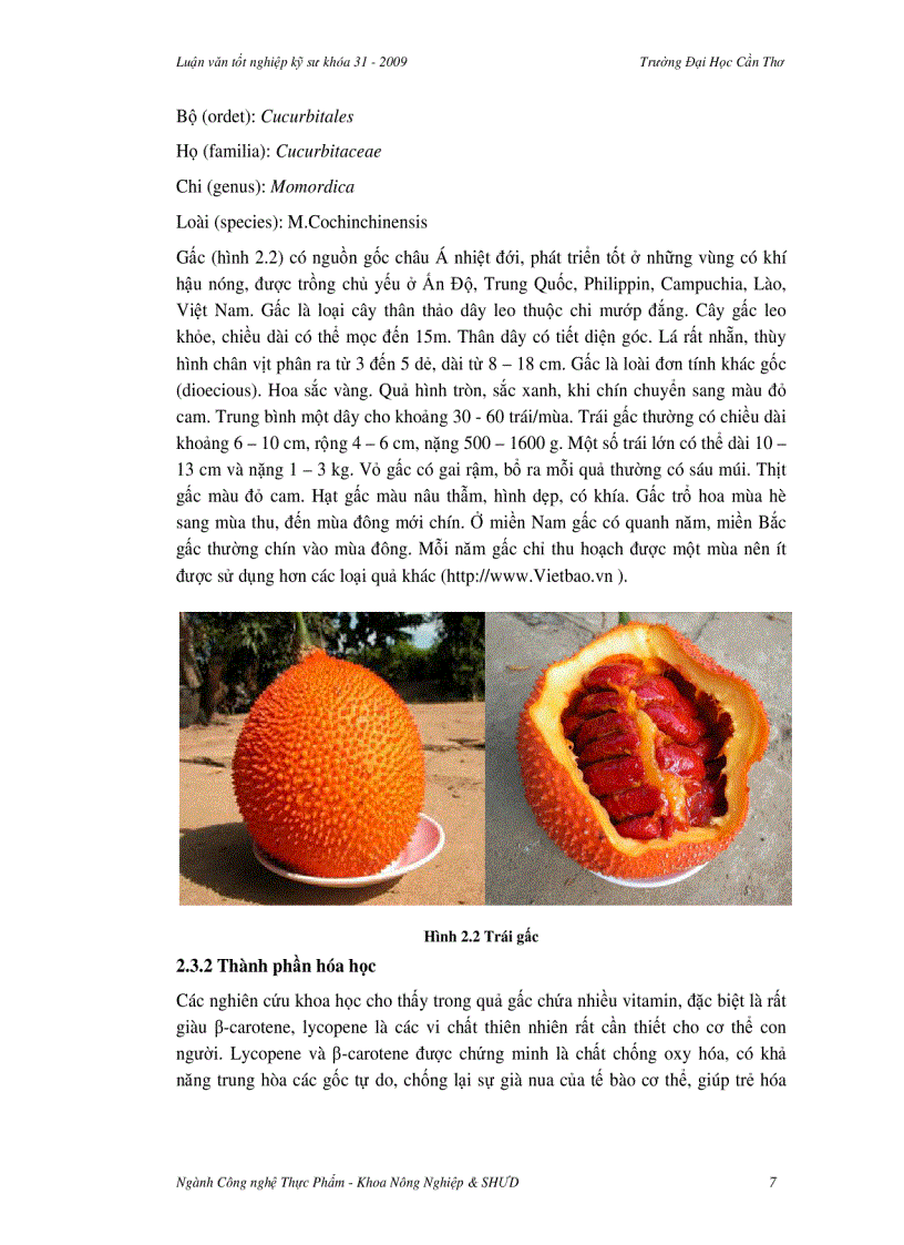 image for page Nghiên cứu hoàn thiện quy trình chế biến và bảo quản sản phẩm bánh gấc