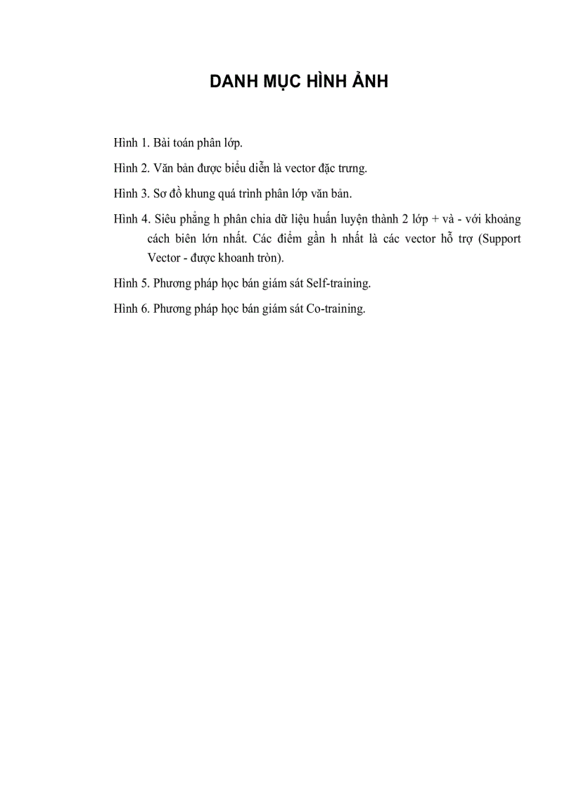 image for page Phân lớp bán giám sát và ứng dụng thuật toán svm vào phân lớp trang web