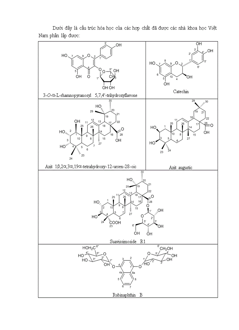 image for page Sơ đồ chiết tách và phân lập một số Flavonoid từ cây Lá móng tay ở quy mô PTN