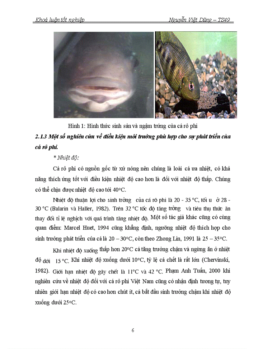 image for page So sánh tốc độ sinh trưởng của cá rô phi chọn giống dòng NOVIT 4 Oreochromis niloticus ở 2 ngưỡng nhiệt độ khác nhau