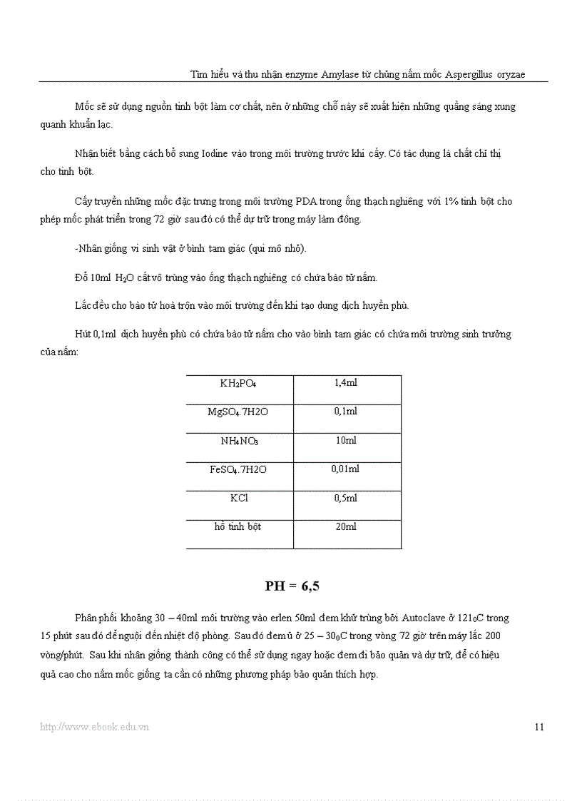 image for page Công nghệ Protein và enzyme Tìm hiểu và thu nhận enzyme amylase từ chủng nấm mốc Aspergillus oryzae
