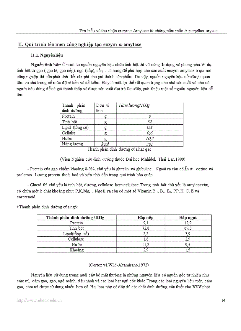 image for page Công nghệ Protein và enzyme Tìm hiểu và thu nhận enzyme amylase từ chủng nấm mốc Aspergillus oryzae