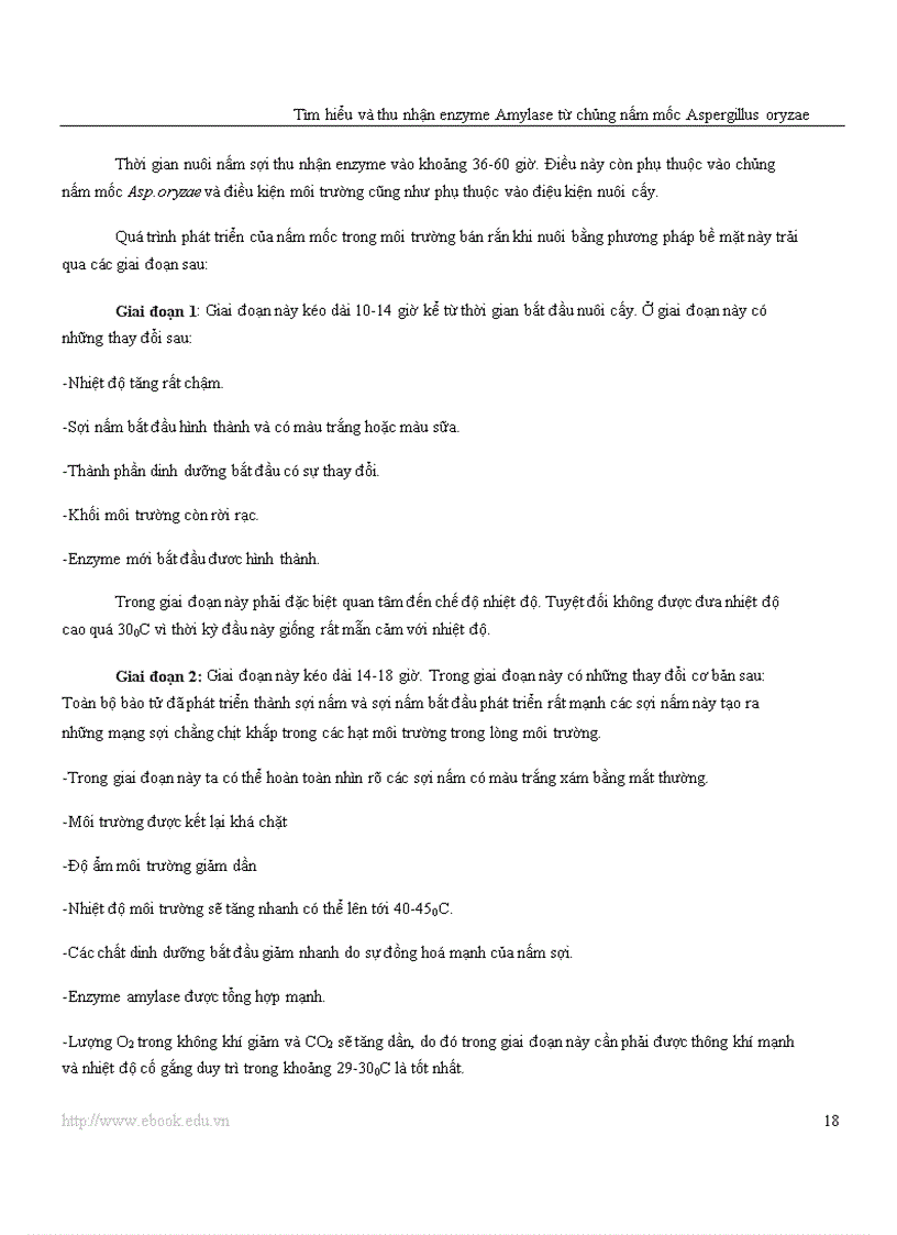 image for page Công nghệ Protein và enzyme Tìm hiểu và thu nhận enzyme amylase từ chủng nấm mốc Aspergillus oryzae