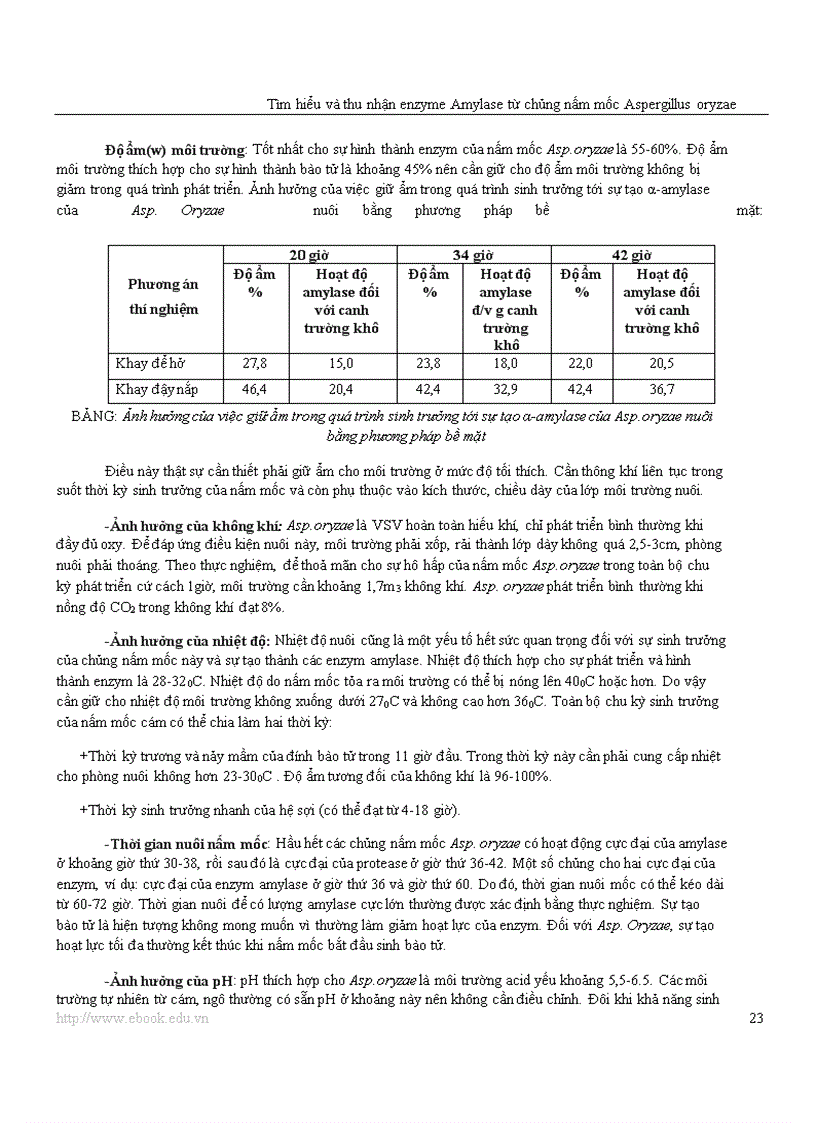 image for page Công nghệ Protein và enzyme Tìm hiểu và thu nhận enzyme amylase từ chủng nấm mốc Aspergillus oryzae